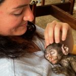 baby monkey kayla 3