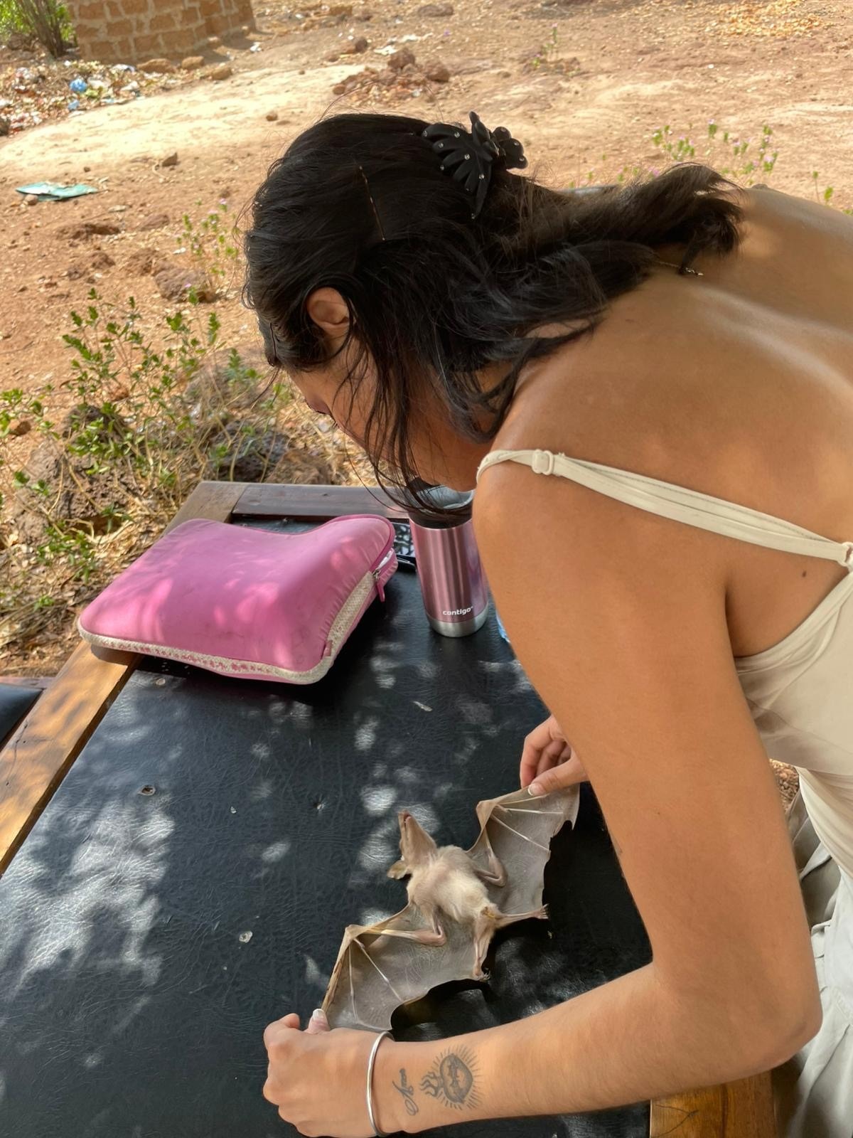 britsy examining bat in ghana