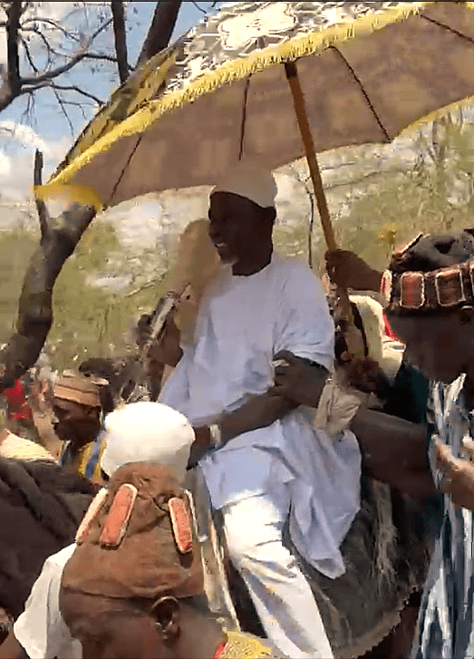 new yagbonwura riding horse2